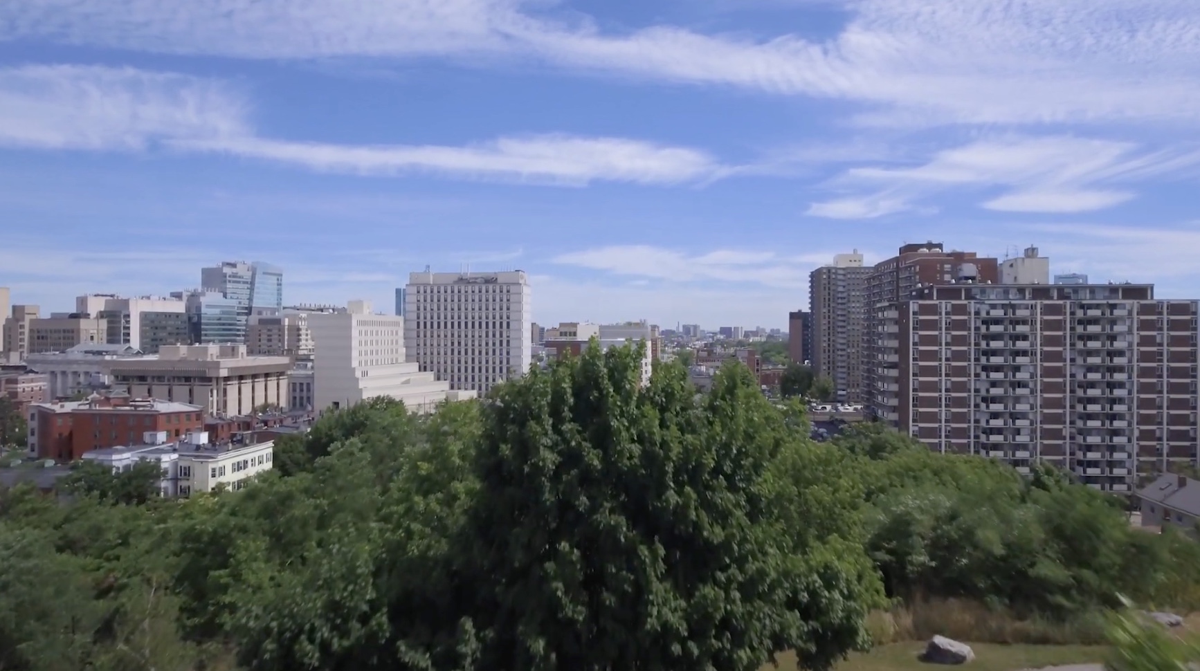 Harvard School of Public Health